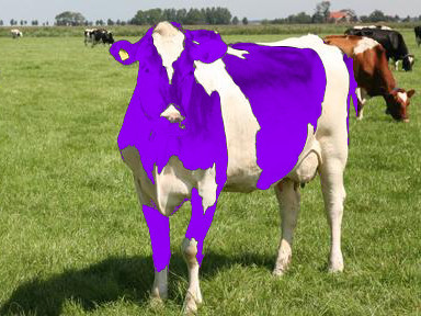 A purple cow!