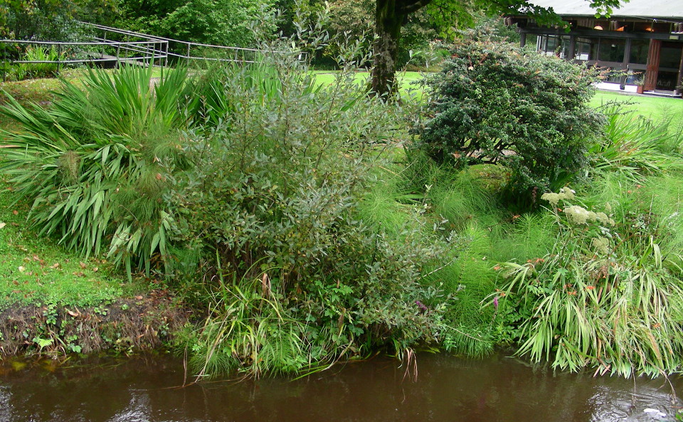 Lisdoonvarna Spa Wells Riverbank Lisdoonvarna Spa Wells Riverbank