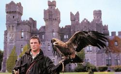 Ireland's School of Falconry