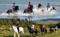 Carrowholly Stables and Trekking Centre