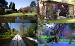 Mount Usher Gardens