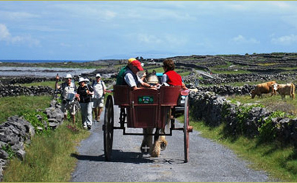 galway tour company promo code